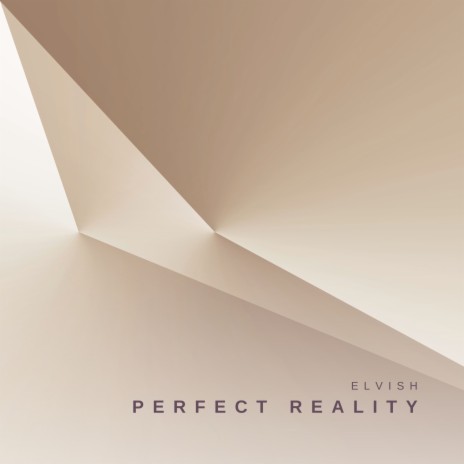 Perfect Realıty | Boomplay Music