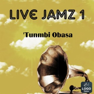 Stee Live Jamz 1 (Instrumentals)