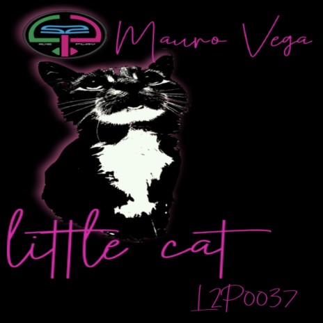 Little Cat | Boomplay Music