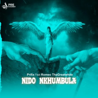 Nido Nkhumbula