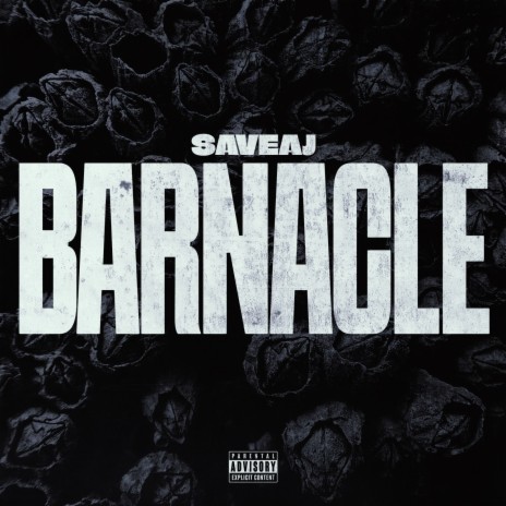 Barnacle | Boomplay Music