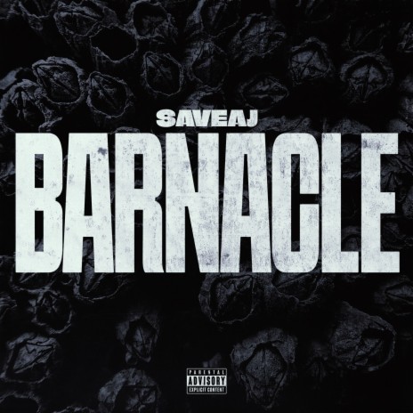 Barnacle