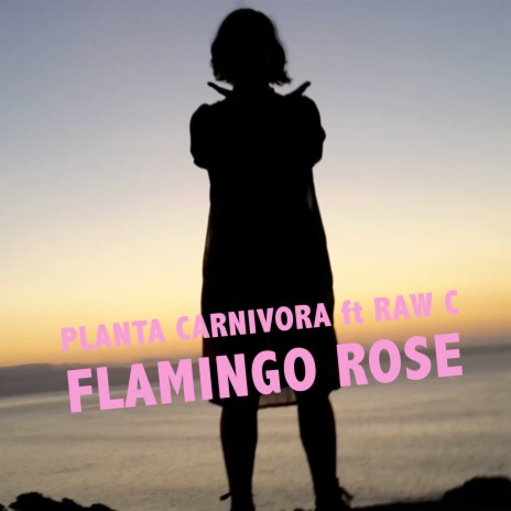 Flamingo Rose ft. Raw C | Boomplay Music