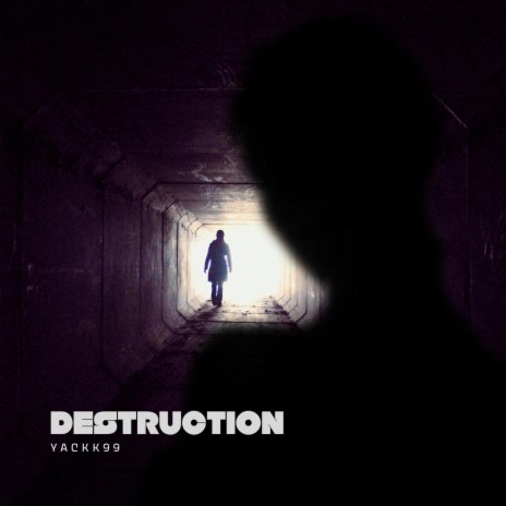 DESTRUCTION | Boomplay Music