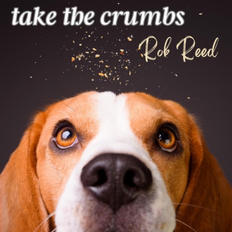 Take the Crumbs | Boomplay Music