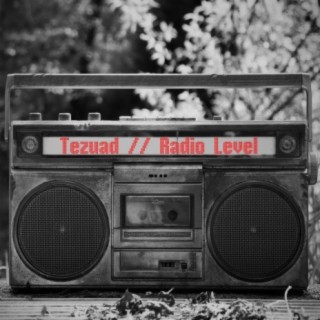 Radio Level