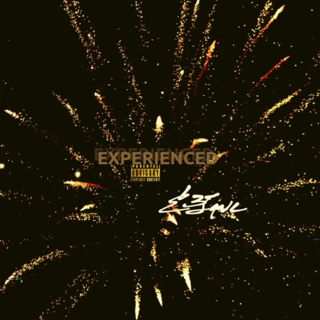 Experienced | Boomplay Music