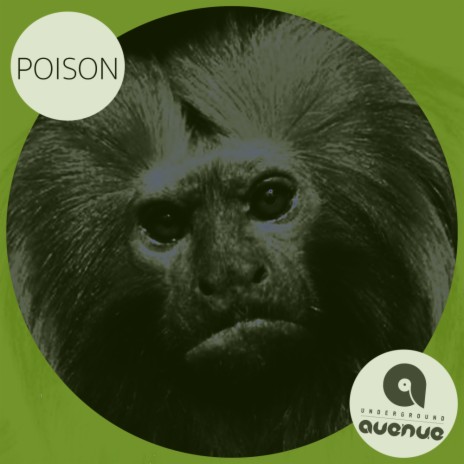 Poison (Original Mix) | Boomplay Music