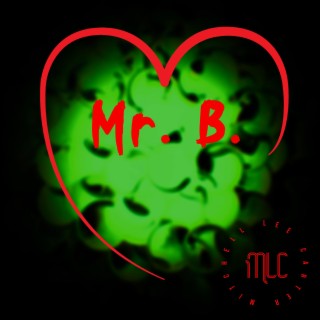 Mr.B.