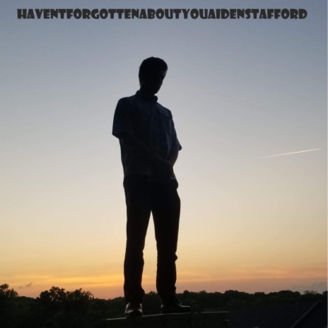 haventforgottenaboutaidenstafford | Boomplay Music