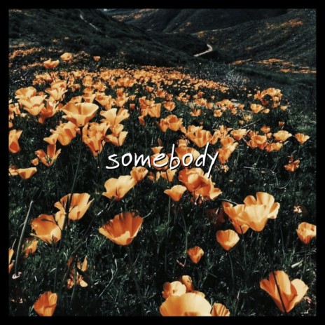 somebody