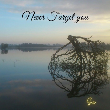 Never Forget you | Boomplay Music