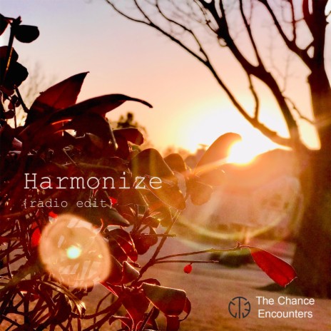 Harmonize (Radio Edit) | Boomplay Music