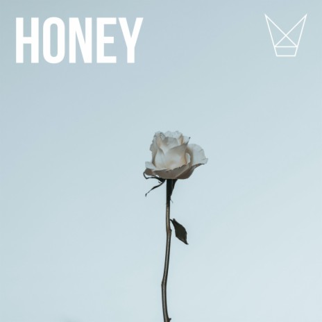 Honey (feat. danielshoreson)