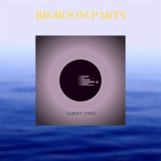 BIGROOM PARTY