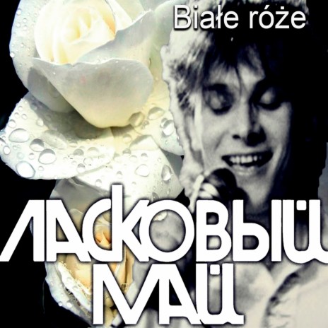 Białe róże (Remake Polish version) ft. Андрей Разин
