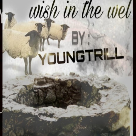 wish in the well