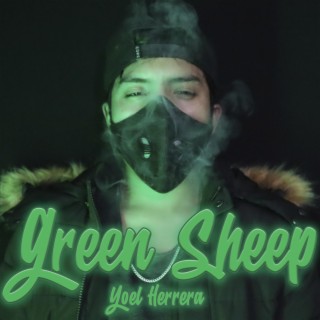 Green Sheep