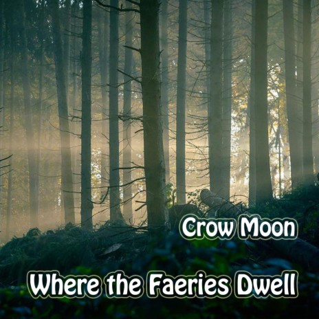 Faery Forest Daybreak | Boomplay Music