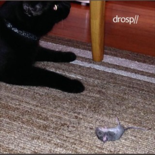 drosp//