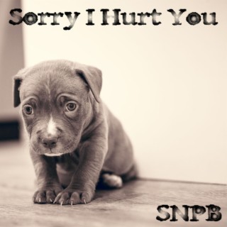 Sorry I Hurt You