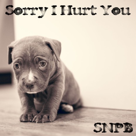 Sorry I Hurt You | Boomplay Music