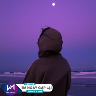 Em Ngày Gặp Lại (Lofi Ver.) ft. WM lyrics | Boomplay Music