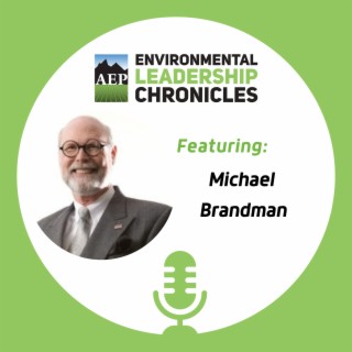 Embracing Synchronicity in Your Career, ft. Michael Brandman, Ph.D.