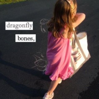 dragonfly bones