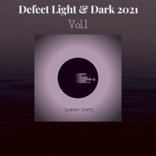 Defect Light & Dark 2021,Vol.1