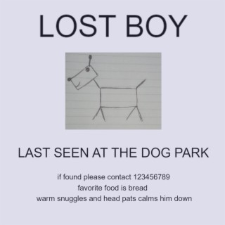 Lost Boy