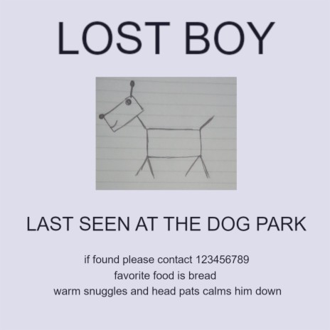 Lost Boy | Boomplay Music