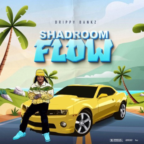 Shadroom Flow | Boomplay Music