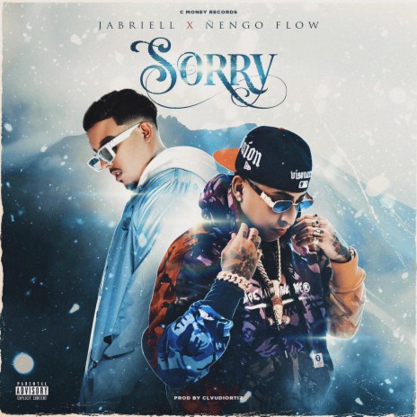 Sorry ft. Ñengo Flow | Boomplay Music