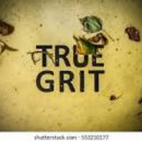 True Grit 2