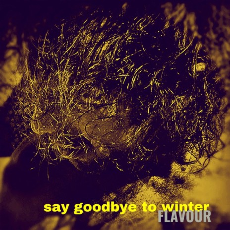 Say Goodbye To Winter | Boomplay Music