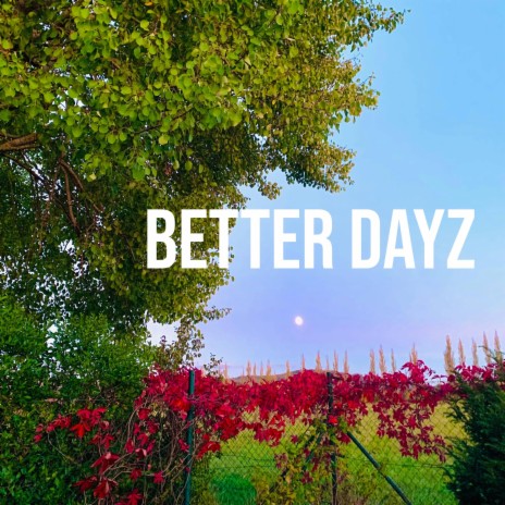 Better Dayz