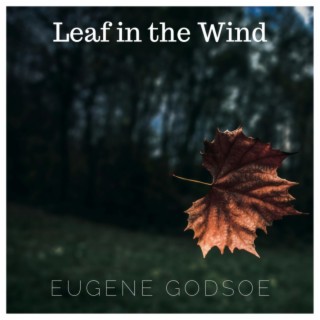Leaf in the Wind