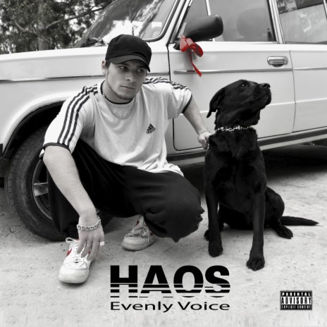 Haos | Boomplay Music