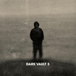 Dark Vault 3
