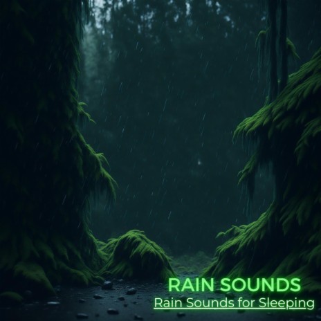 Wood Smelling Rain | Boomplay Music