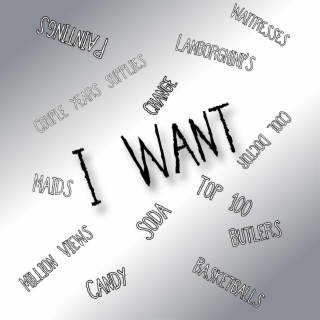 I Want lyrics | Boomplay Music