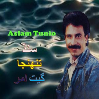 Aslam Tunio, Vol. 25 Sindh Tunhinja Geet Amar