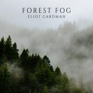 Forest Fog