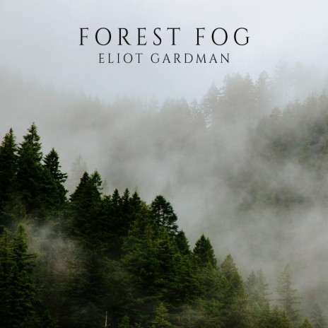 Forest Fog | Boomplay Music