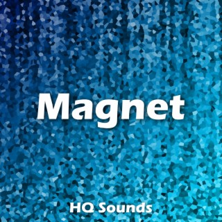 Magnet