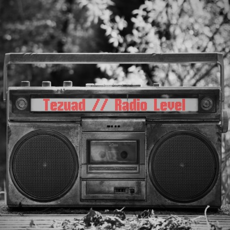 Radio Level | Boomplay Music