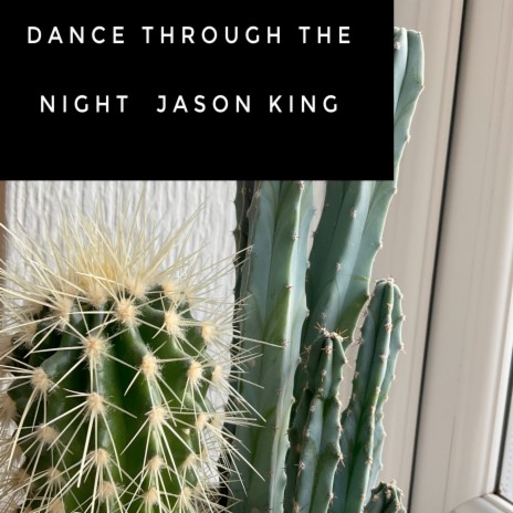 Dance Through the Night | Boomplay Music