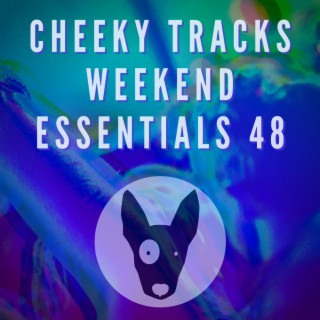 Cheeky Tracks Weekend Essentials 48