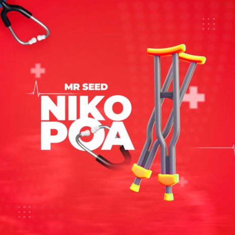 Niko Poa | Boomplay Music